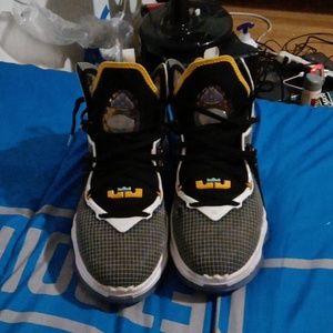 Nike LeBron James sneakers